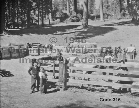 Old Pinecrest Corral